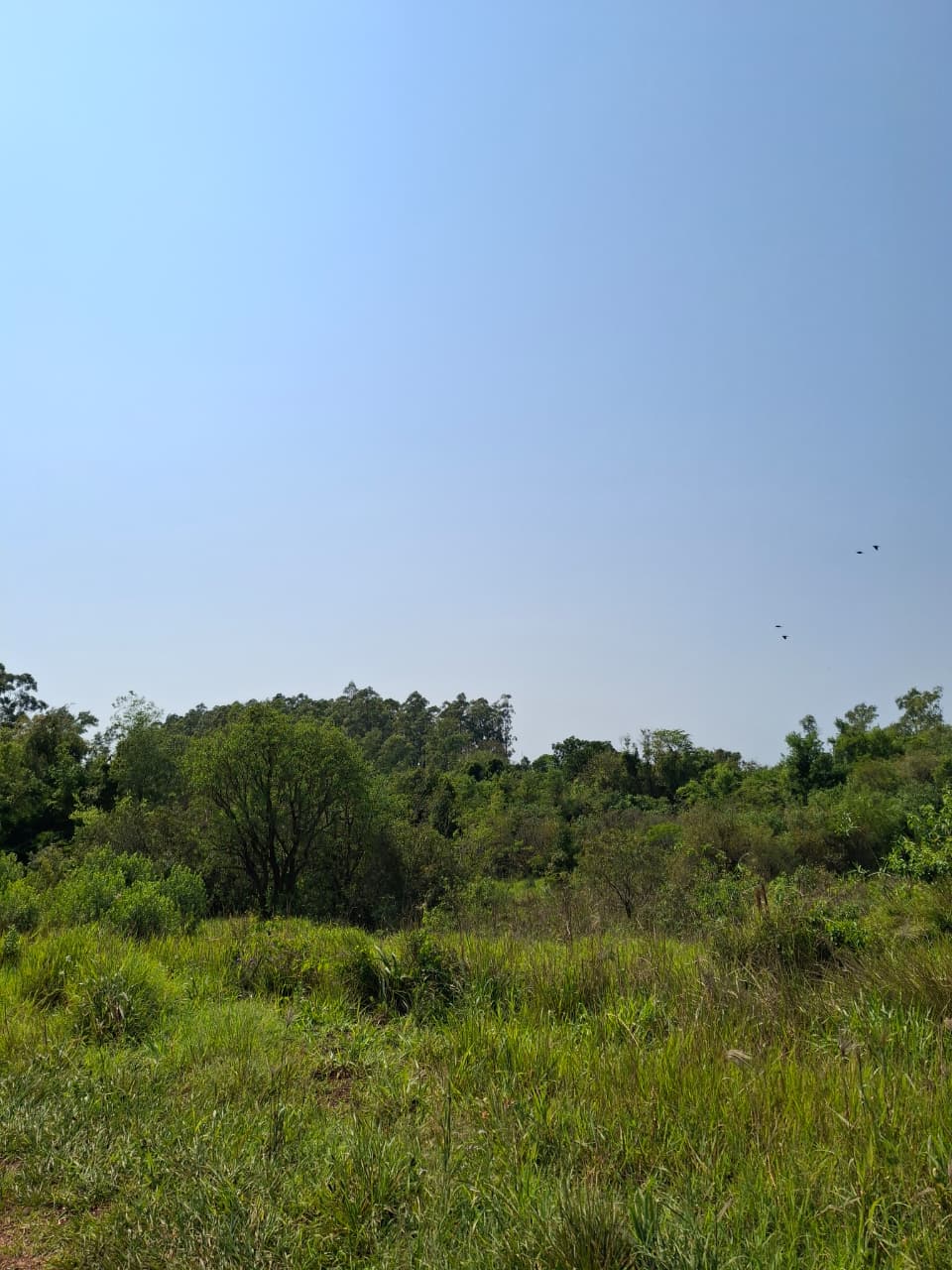 Diagnóstico de la Propiedad